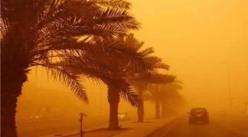 تقلبات حادة.. تحذيرات الأرصاد تكشف تفاصيل حالة الطقس المتوقعة يوم 26 يناير